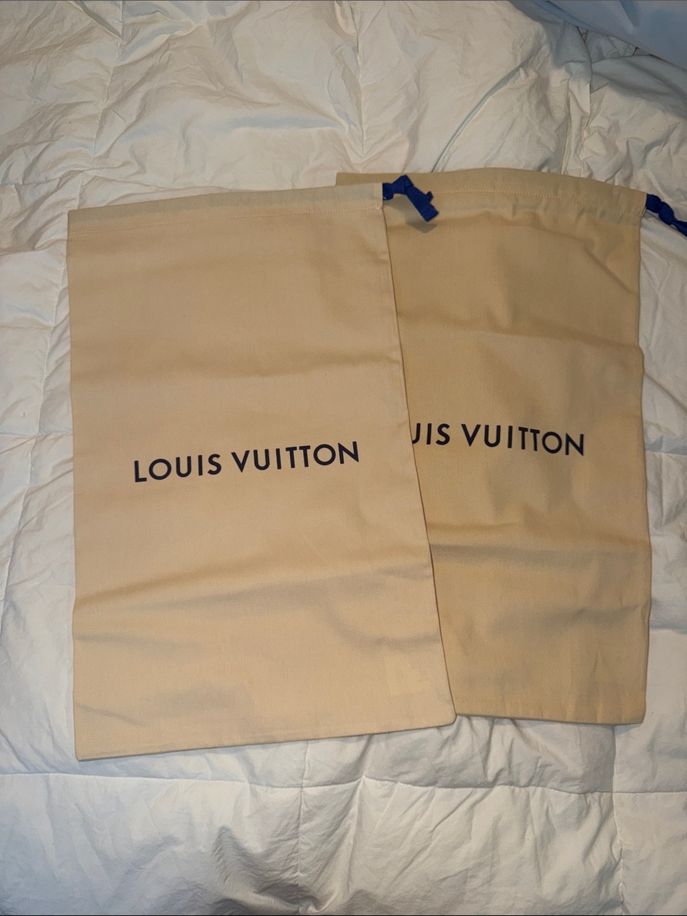 Louis Vuitton 2 big dusters ( shoes or bag )